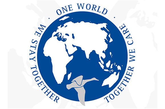 Webinar international